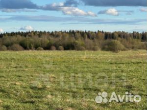 Фото объявления