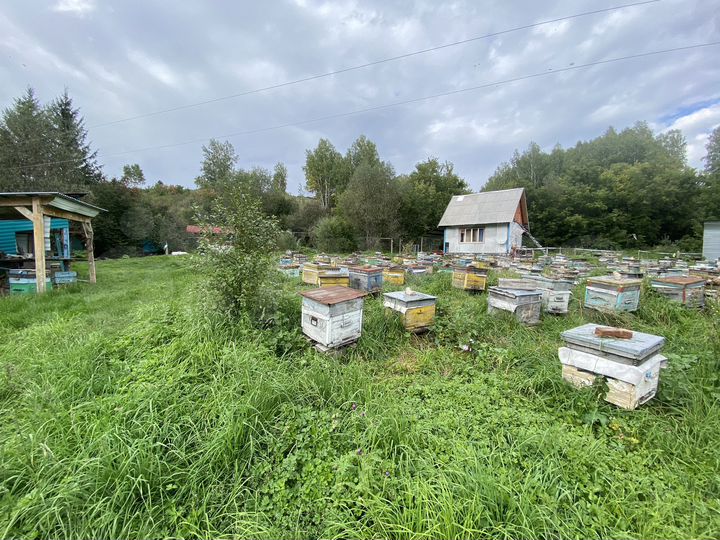Участок 20 сот. (ИЖС)