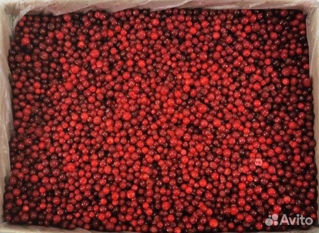 Брусника Китай свежемороженая 12.5кг