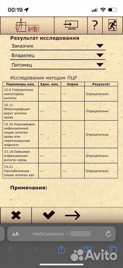 Мейн-кун