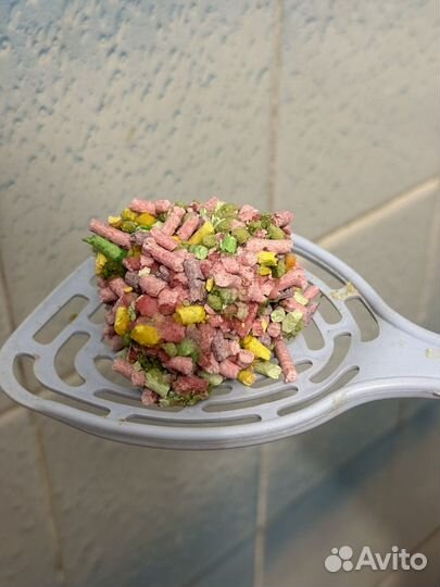 Соевый наполнитель для котов