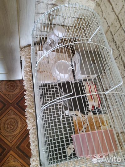 Клетка для грызунов