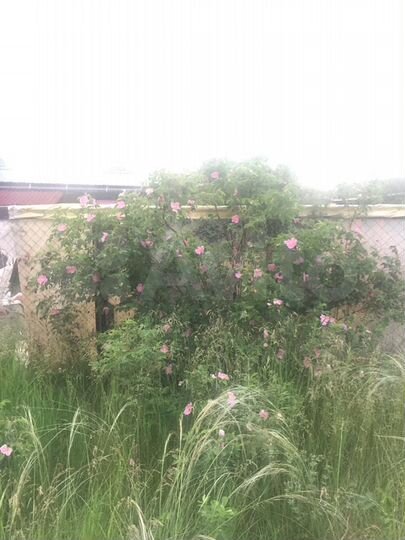 Участок 6 сот. (СНТ, ДНП)