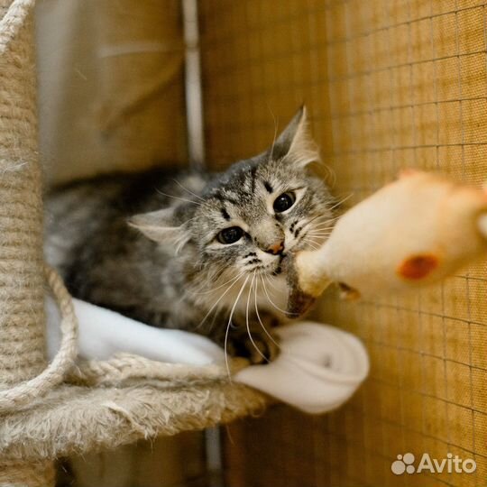 Мальвину выбросили из машины ищем дом