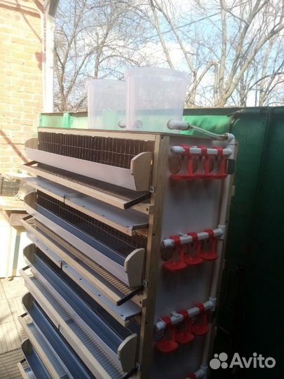 Клетка для перепелов до 150 голов