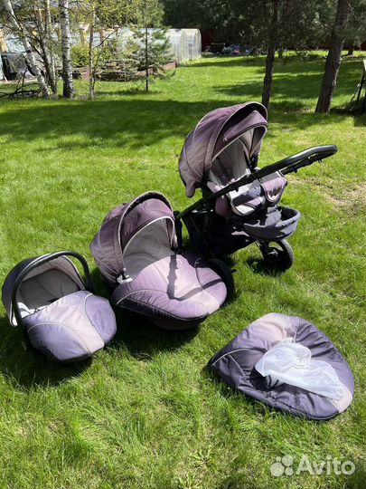 Коляска zippy 3 в 1