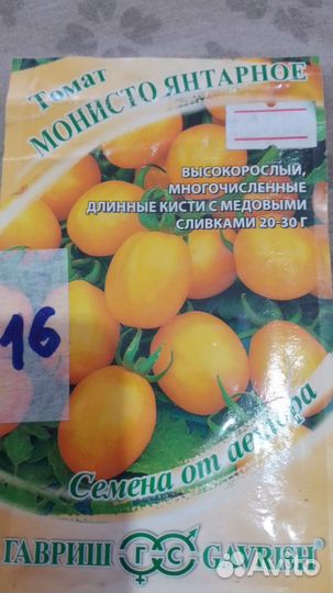 Рассада