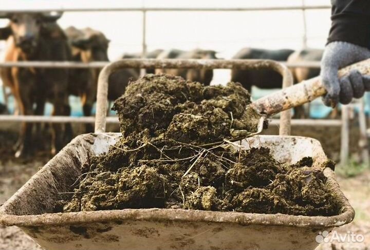 Коровий навоз в мешках 50л с доставкой