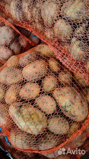 Картофель деревенский