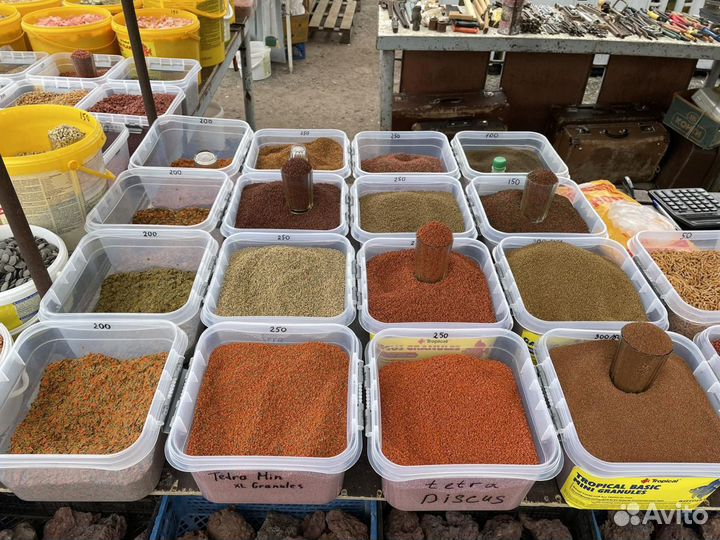 Корма для аквариумных рыбок