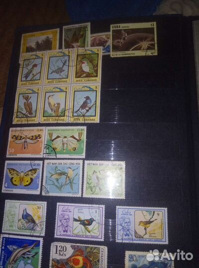 Клястер с марками