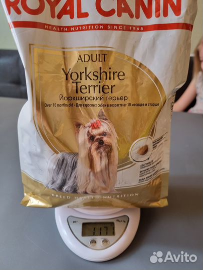 Корм для йорка