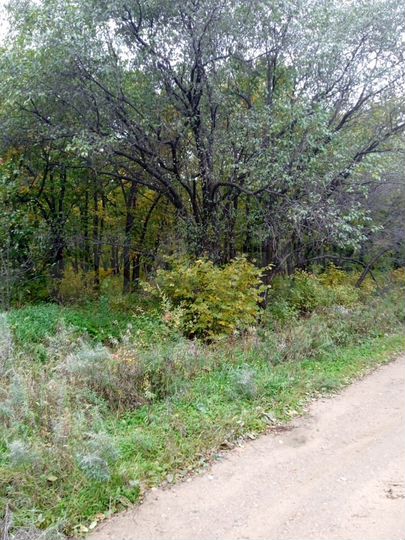 Участок 15 сот. (ИЖС)