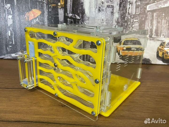 Муравьиная ферма без муравьев