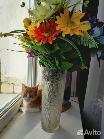 Отдам в добрые руки