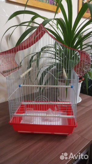 Клетка для птиц