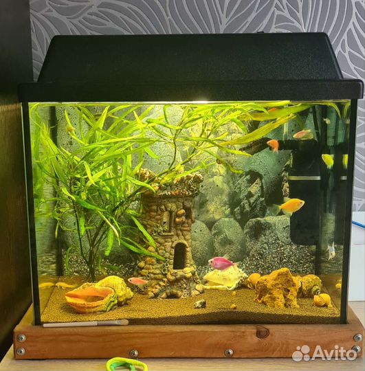 Аквариум