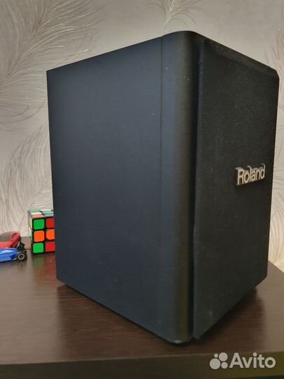 Акустическая система roland cube Monitor CM-220