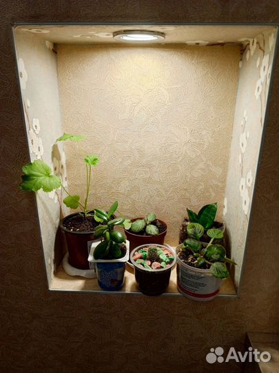 Набор цветочков