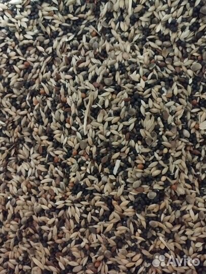 Корм для певчих птиц и канареек