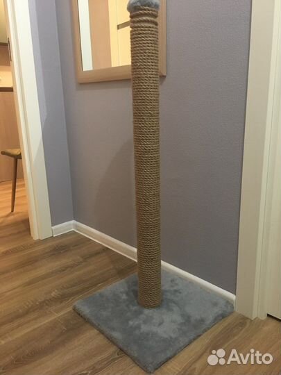 Когтеточка