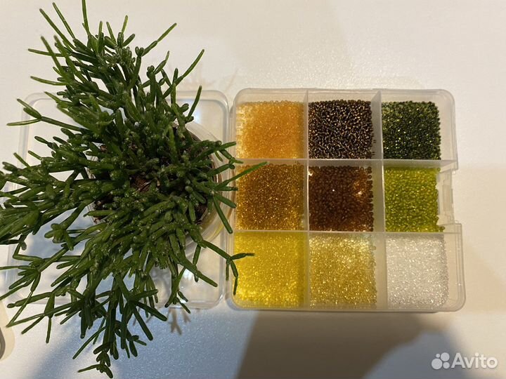 Коробка для бисера вместе с бисером