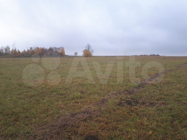 Участок 7,36 га (СНТ, ДНП)