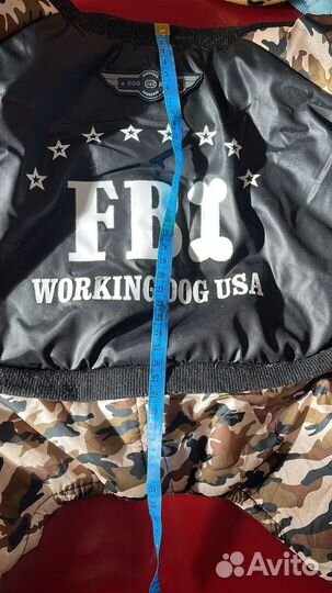 Одежда для собак