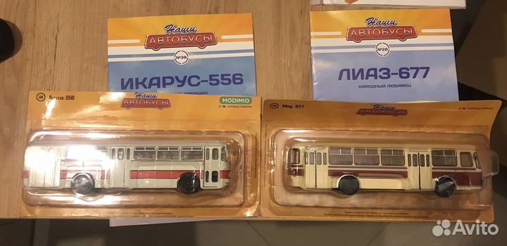 Наши автобусы