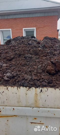 Перегной коровий