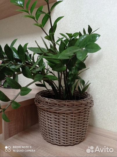 Кашпо из ротанга