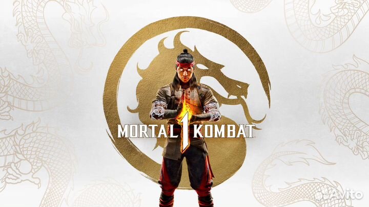 Mortal Kombat 1 PS5 Премиум Издание