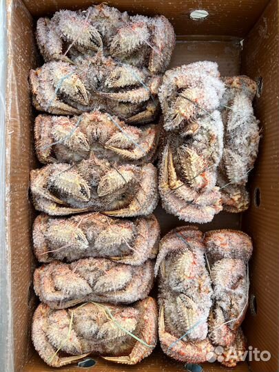 Оптом Краб Волосатик