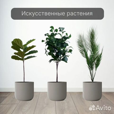 Искусственные растения