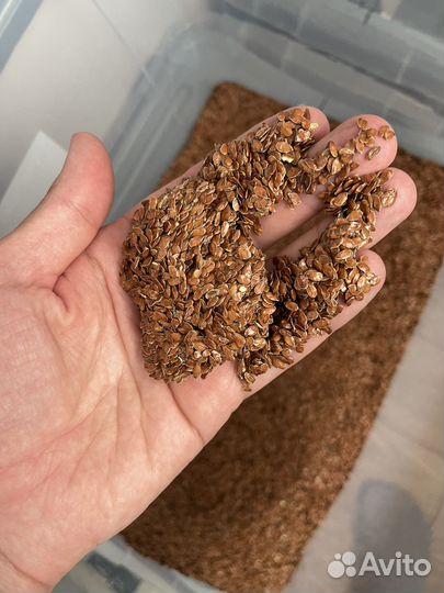 Жмых - лен, тыква, кунжут, черный тмин и другие