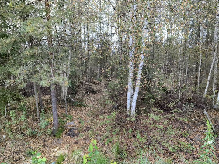 Участок 20 сот. (СНТ, ДНП)