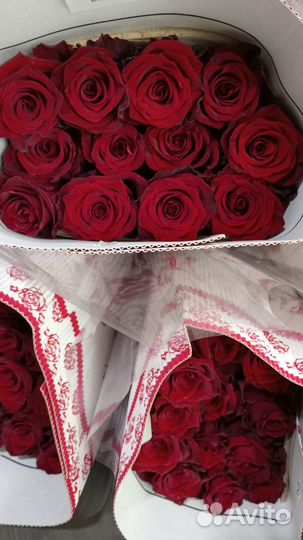 Цветы оптом роза