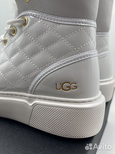 Женские Бoтинки Угги UGG Shanti White Lockable