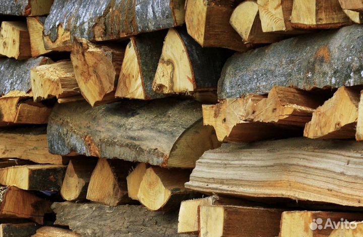 Дрова Береза