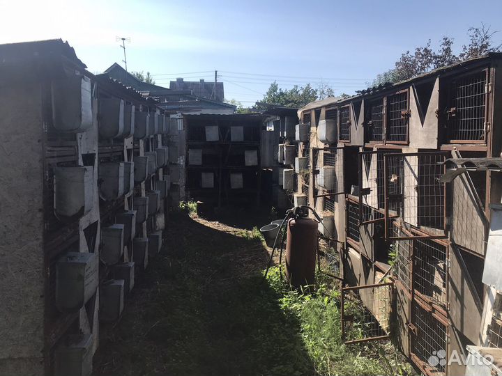 Клетка для кролика