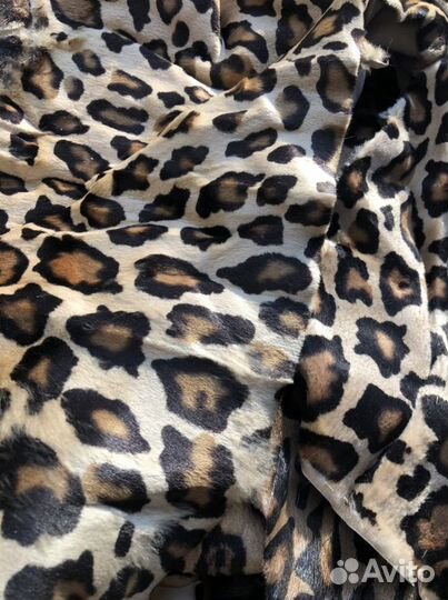 Куски тюленя