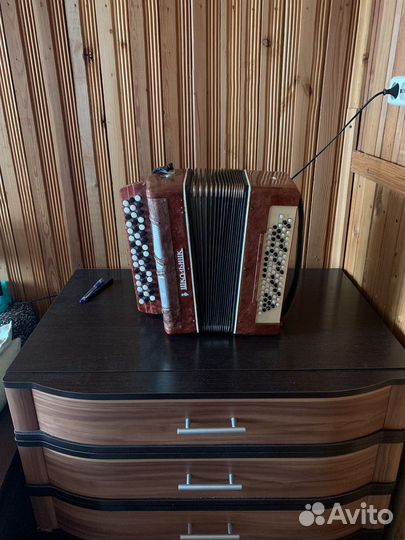 Баян школьник