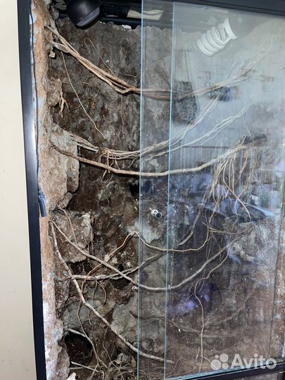 Террариум для хамелеона