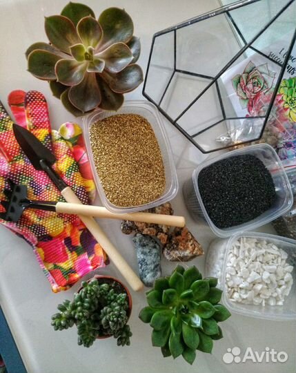 Набор для создания флорариума Капля М