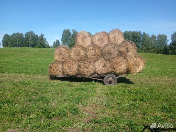 Сено. Солома