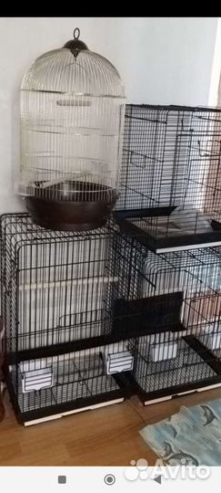Новые клетки для попугаев