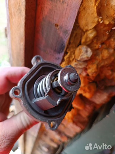 Термостат GM