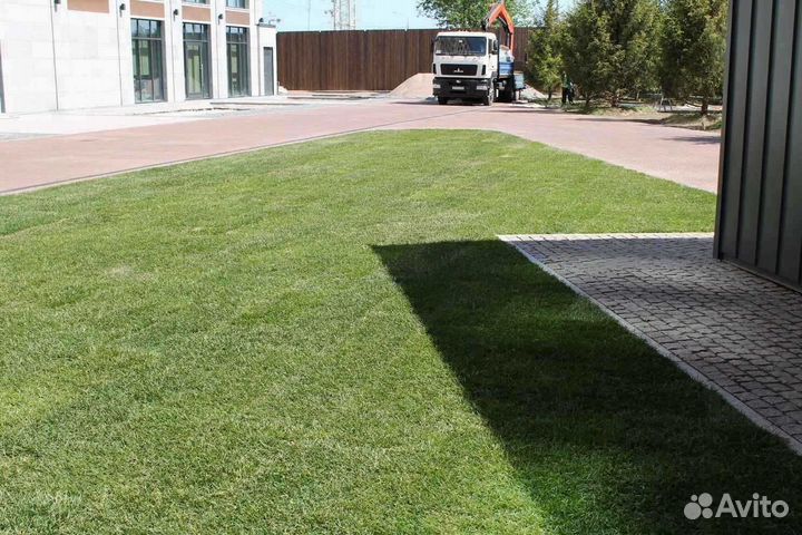 Рулонный газон напрямую от производителя