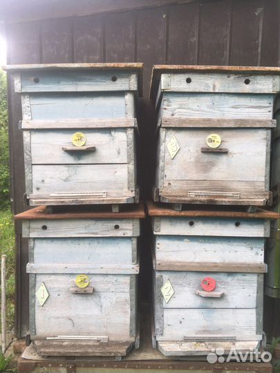 Продам ульи для пчел