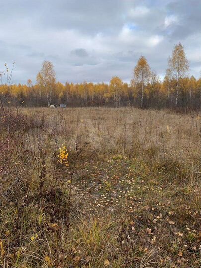 Участок 13 сот. (ИЖС)